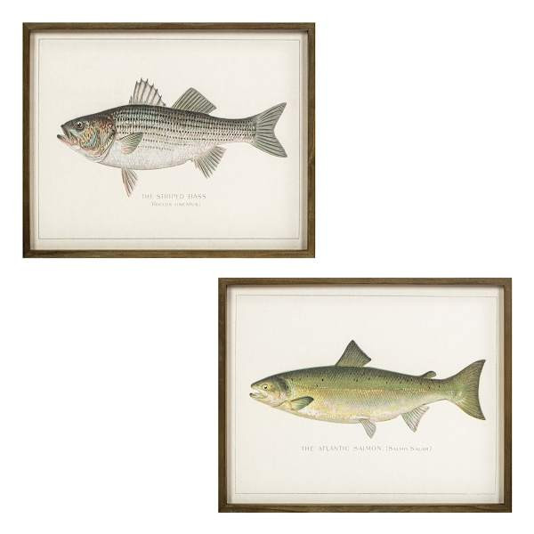 Lake & Lodge Set of 2 Framed Fish Wooden Wall Décor | At Home