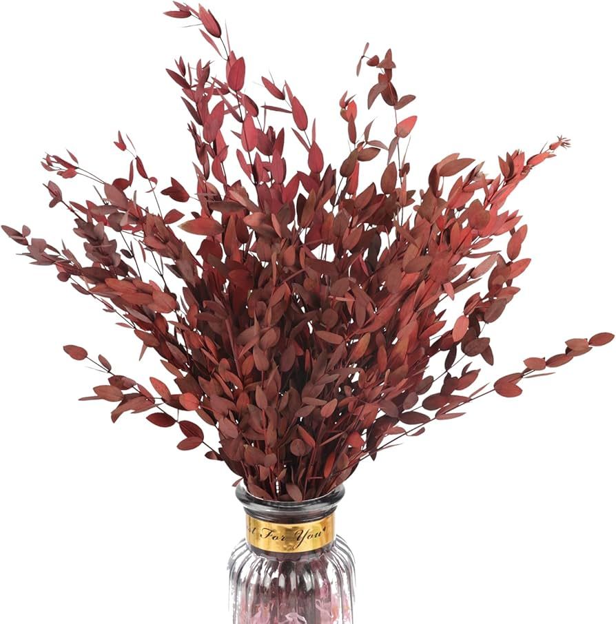 Fall Real Red Eucalyptus Stems Decor 20PCS 16" Dried Willow Eucalyptus Plant Preserved Stems for ... | Amazon (US)