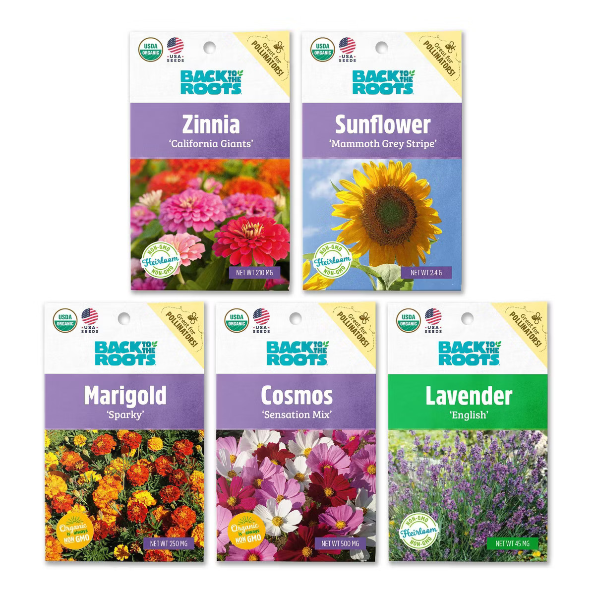 Back to the Roots 5pk Organic USA Flower Seeds | Target
