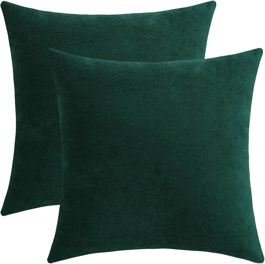 Jeneoo Decorative Hunter Green Throw Pillow Covers Rustic Farmhouse Super Soft Square Chenille Co... | Amazon (US)