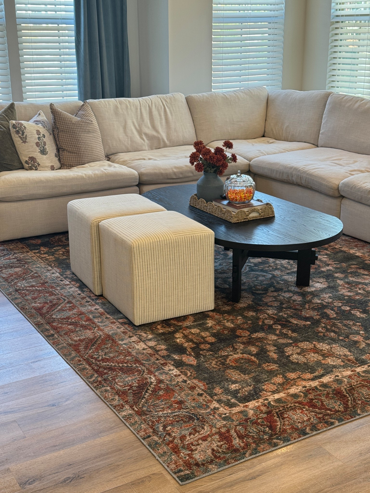 The colors in this rug 🤭😍