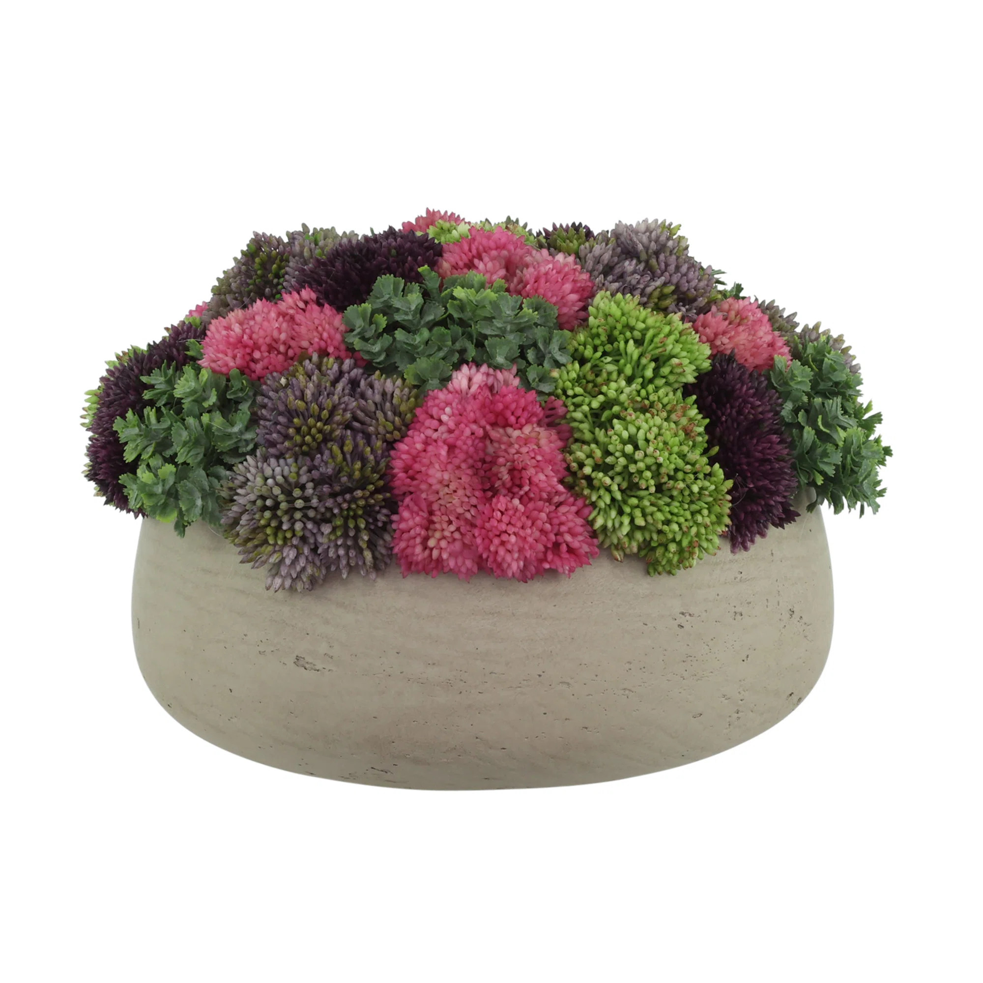 Sedum Arrangement in Fiberstone Planter | Perigold