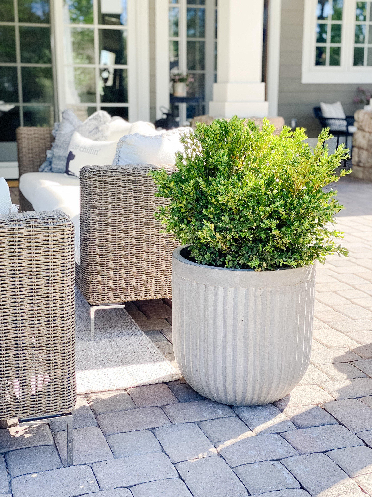 This XL concrete fluted planter is on sale!  Save $50

#LTKhome #LTKsalealert #LTKSeasonal