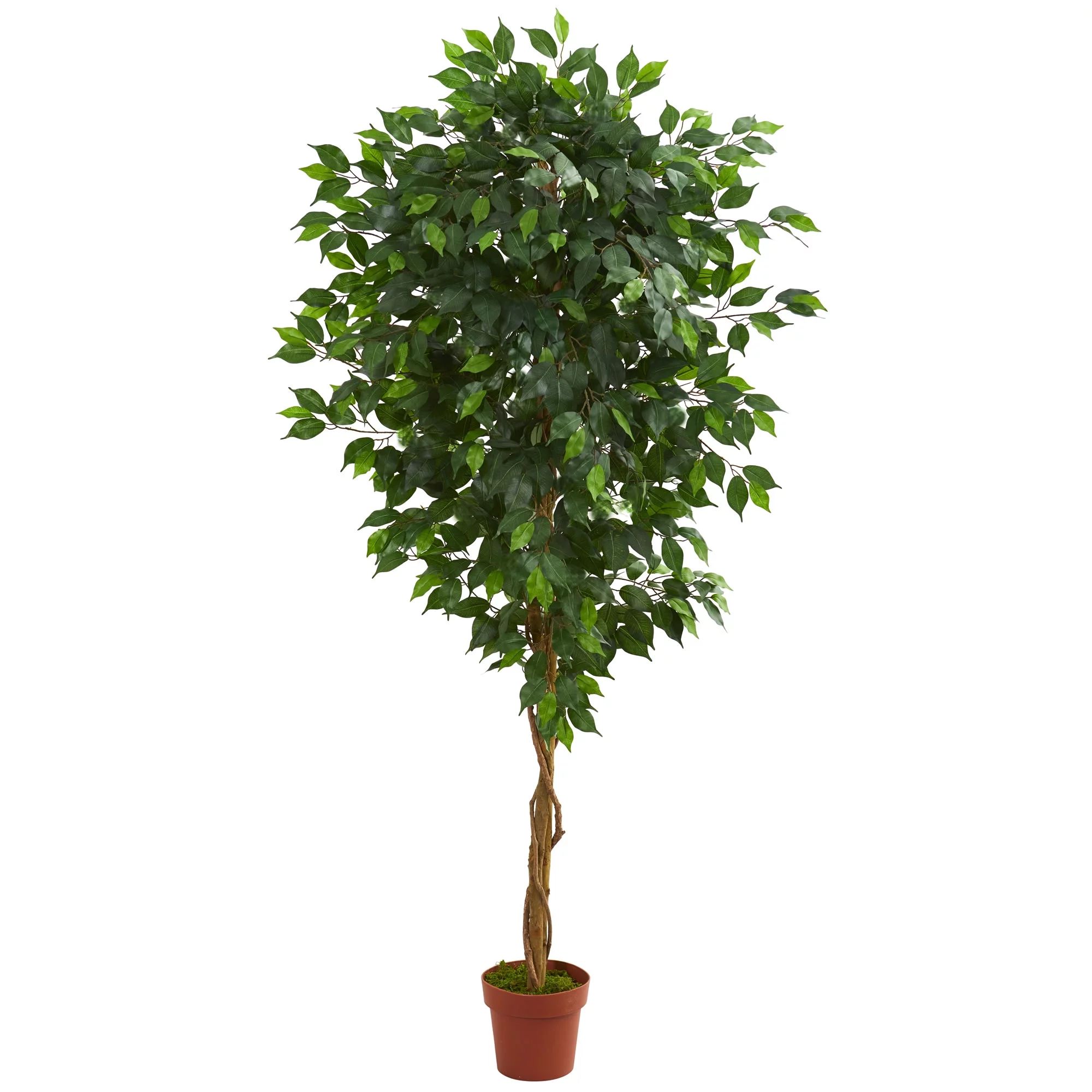 Nearly Natural 6ft. Ficus Artificial Tree, Green | Walmart (US)