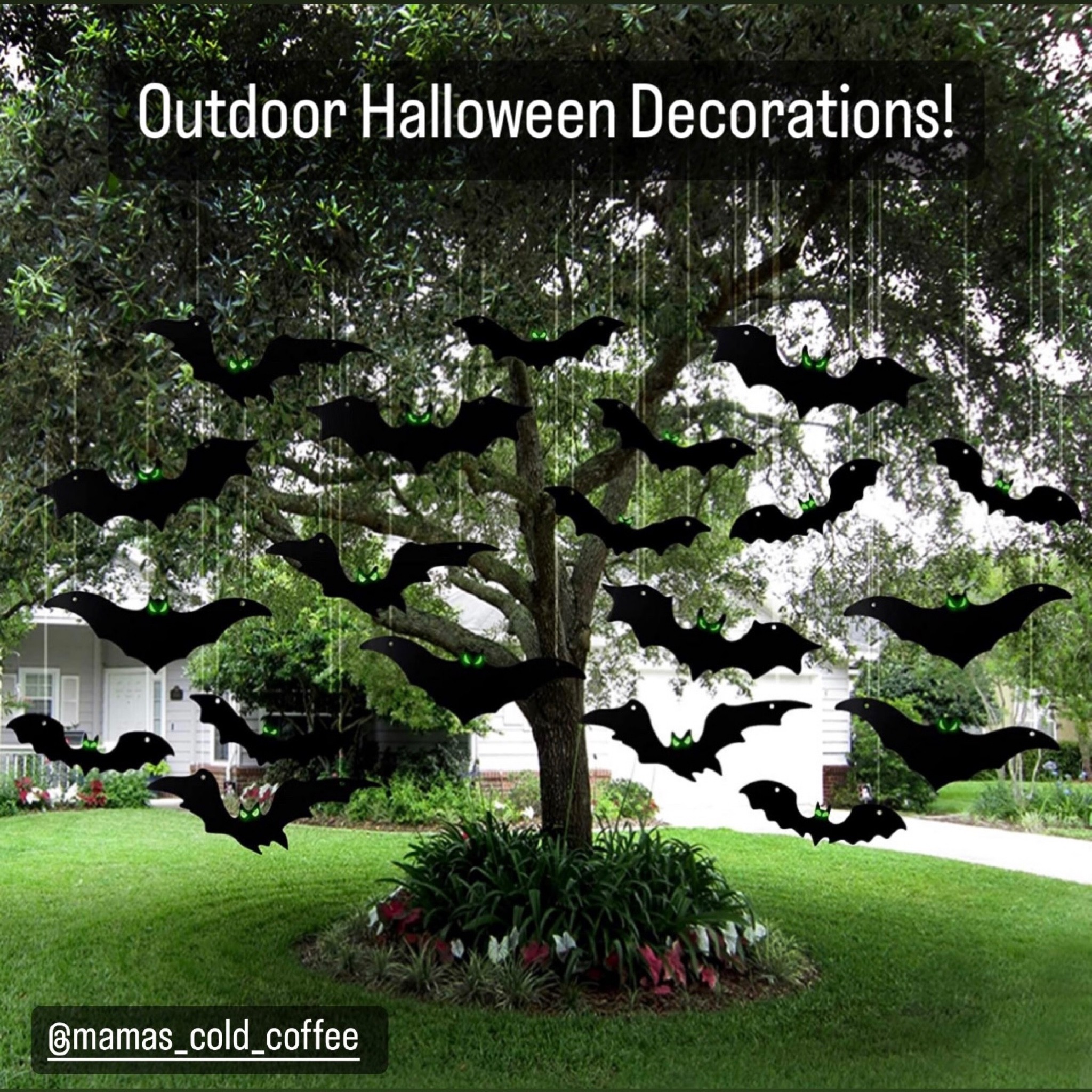 #LTKGiftGuide

#LTKHalloween #LTKSeasonal