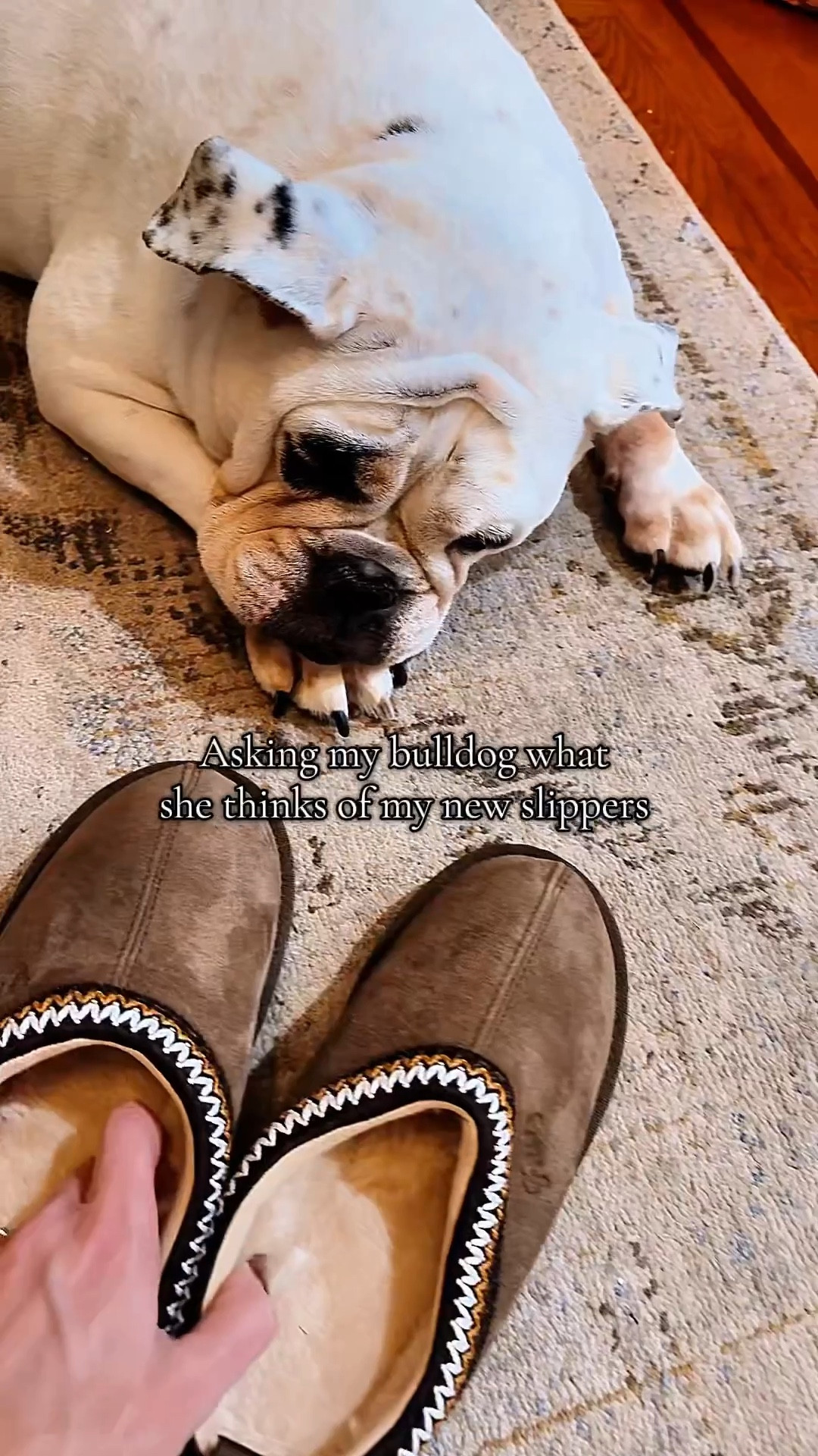 Wearing taupe in my true to size. 

#LTKHoliday #LTKStyleTip #LTKCyberWeek