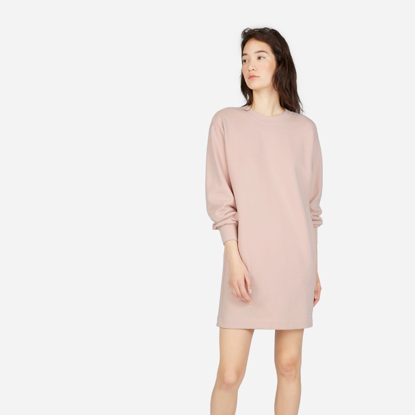 Women's Classic French Terry Crew Neck Dress Sweater by Everlane in Rose, Size XS | Everlane