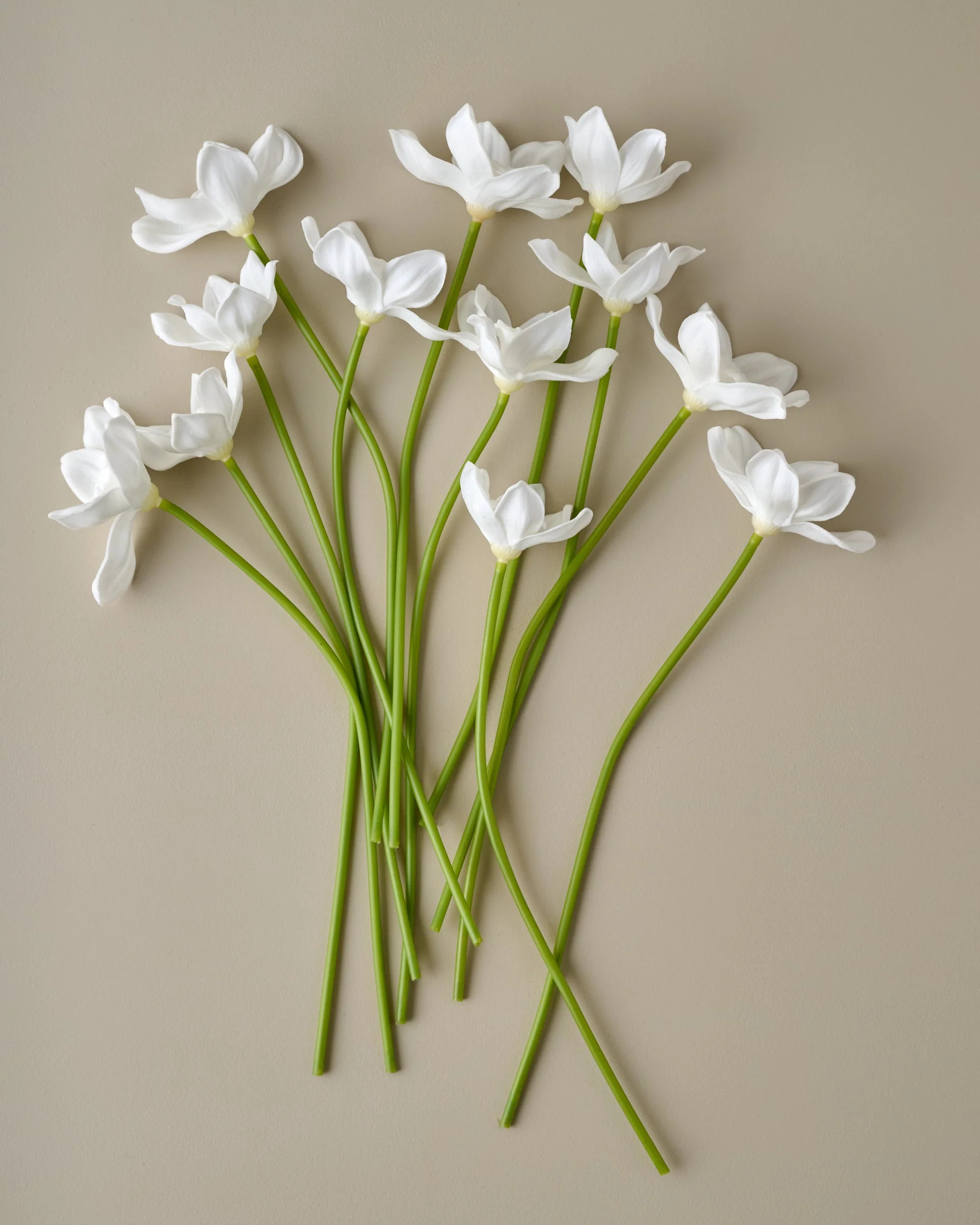 Real Touch Daffodil Bundle | Magnolia