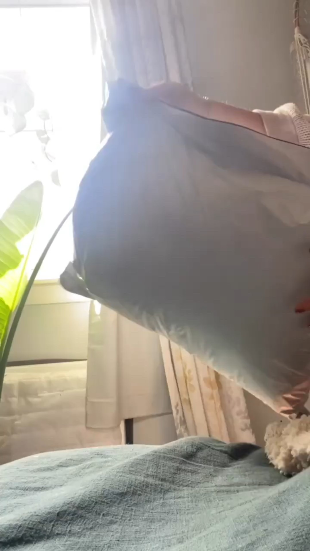 Aerie had a major sale and I had to take advantage! 
Shorts $29
Cable sweaters $15


#LTKSaleAlert #LTKFindsUnder50