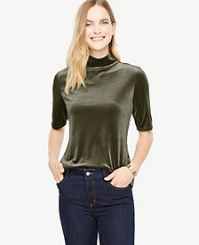 Ann Taylor Elbow Sleeve Velvet Mockneck Top | Ann Taylor (US)