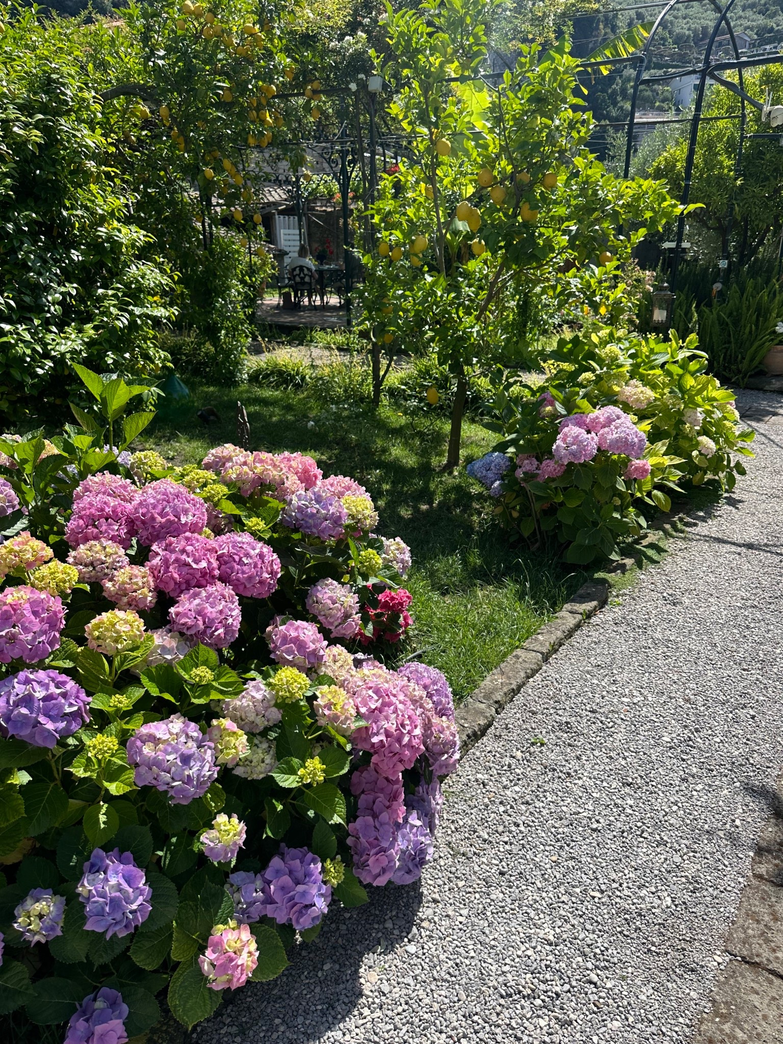 All of the things for your next summer vacation 🍋💕