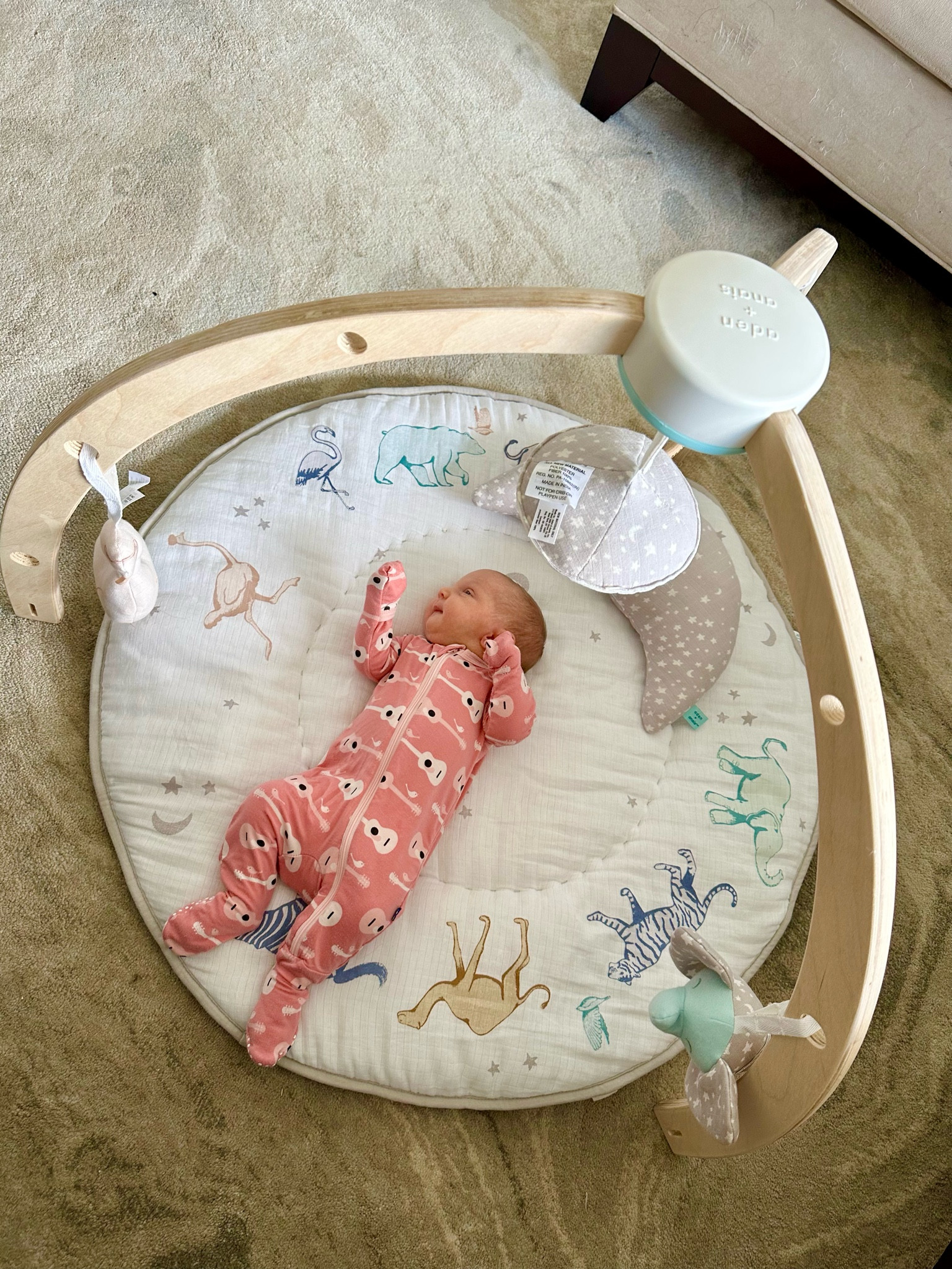 How cute is this baby play mat! We use it for entertainment and tummy time! It also comes in a floral scheme!

#LTKfindsunder100 #LTKbaby #LTKkids