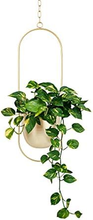 Fieren Indoor Wall Hanging Planter,Gold Hanging Planter,Wall Planter,Hanging Plant Pot,Metal Roun... | Amazon (US)