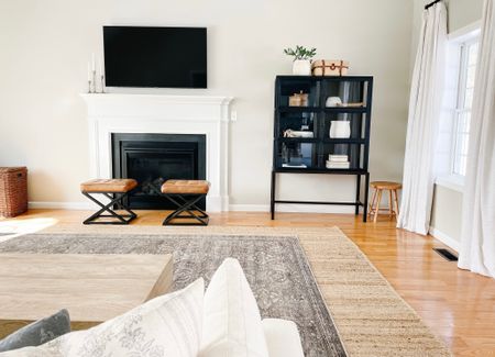 Living Room furniture/decor/rugs