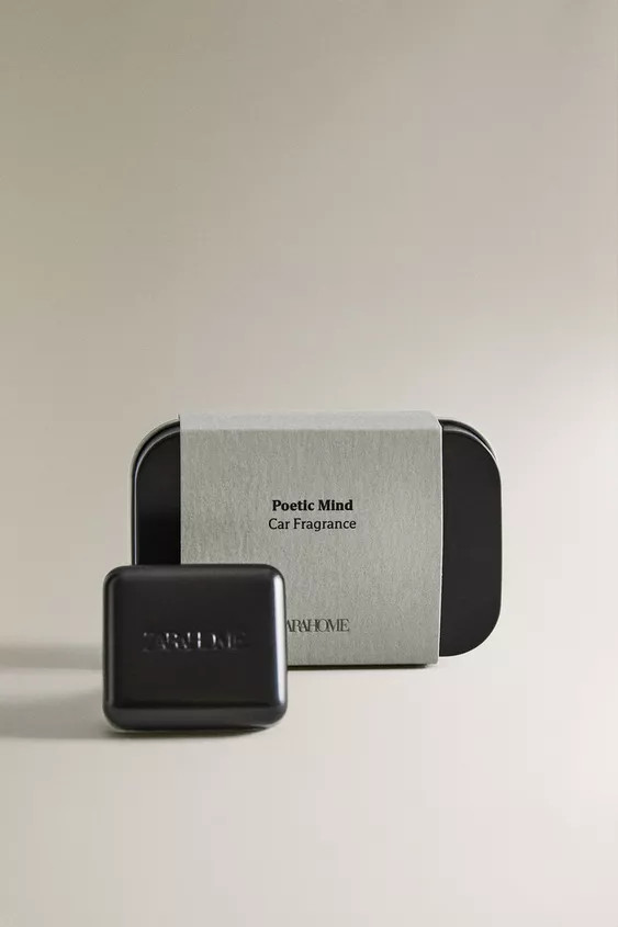LUFTERFRISCHER AUTO POETIC MIND | Zara DE