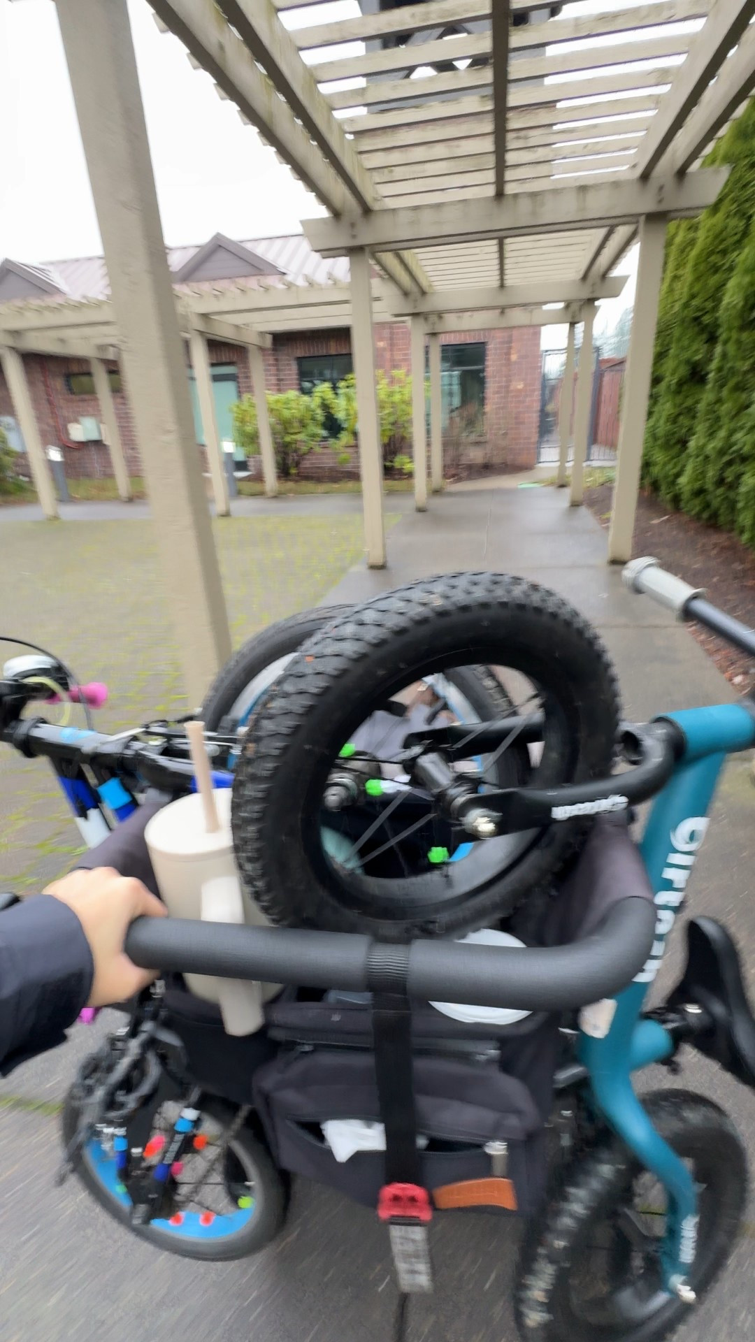 No matter how many strollers we have owned this will always be our most used. Kids ride tandem and the amount of things we can carry is insane! #kids #toddlerlife #strollers #strollers #babyitems

#LTKmomlife #LTKKids #LTKBaby