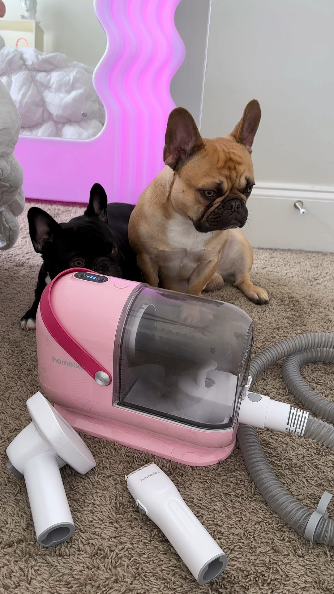 viral dog grooming vacuum kit RESTOCKED (a little)! best amazon find for dog moms💗🦴 (as seen on TT/Reels)

Amazon pet finds, pet parent must-haves, pink dog grooming vacuum kit, dog hair vacuum, Amazon home gadgets, Amazon dog finds, clean home gadgets, pet de-shedding vacuum kit homeika, dog mom Mother’s Day gift idea, gifts for pet parents #LTKGiftGuide #LTKActive #LTKU #LTKhome #LTKfamily #LTKfindsunder50 #LTKSeasonal #LTKkids (bc they’re my kids)

#LTKsalealert #LTKstyletip #LTKVideo