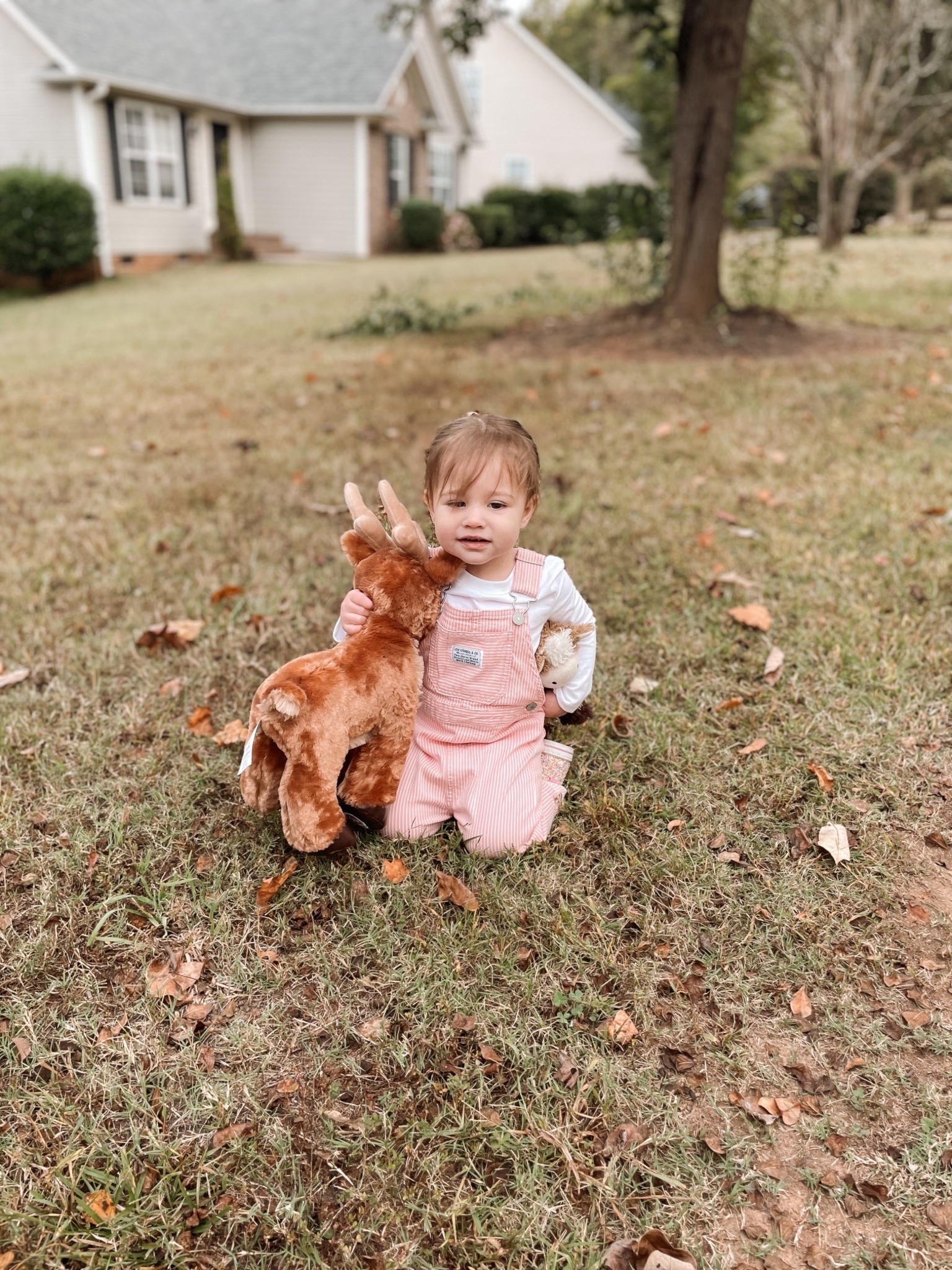 Charlie Belle’s outfit! 


Amazon, toddler, kids, family, clothes, outfit, ootd, trending, viral, budget, affordablee

#LTKKids #LTKSaleAlert #LTKFamily