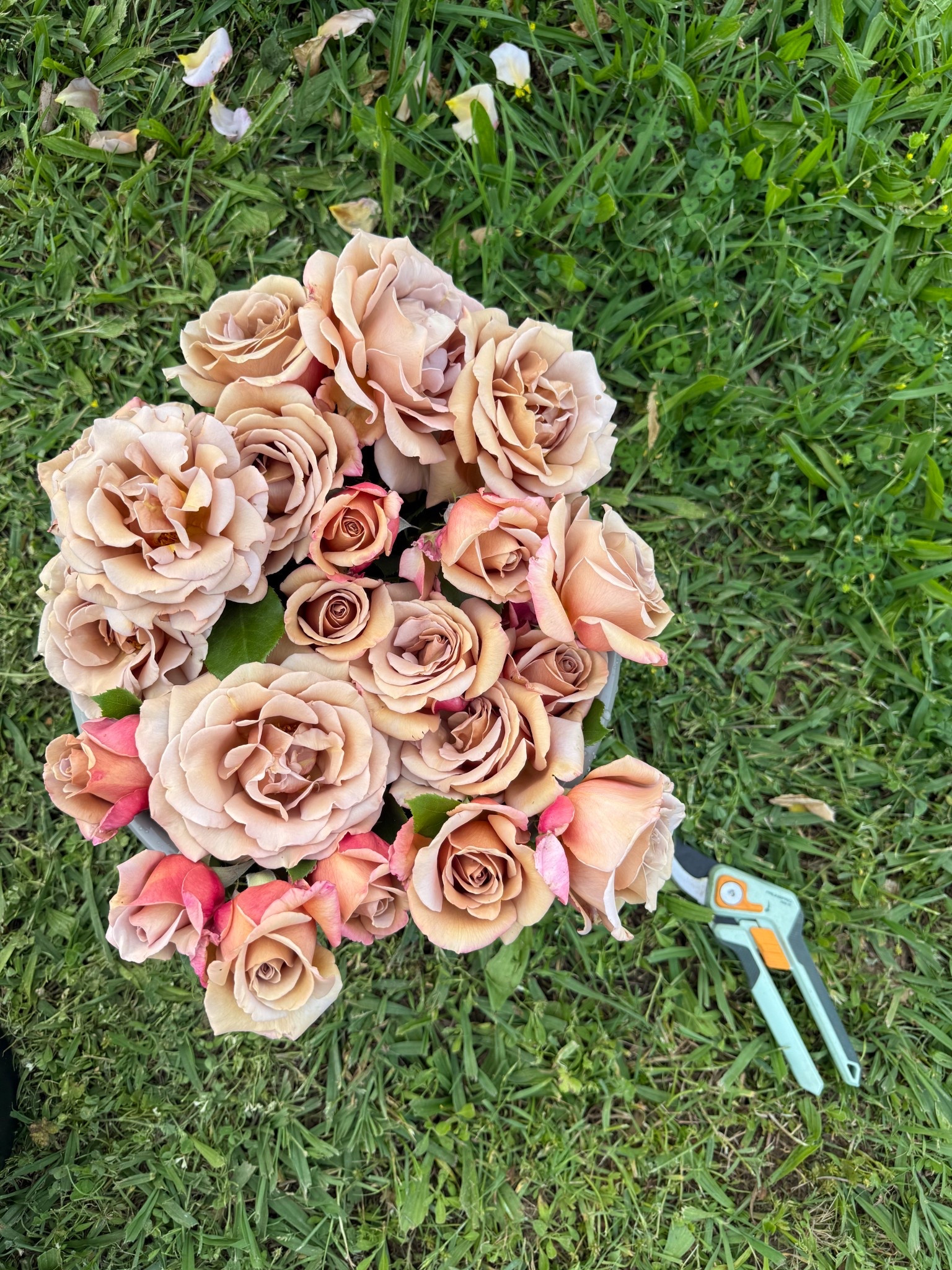 Mother’s Day gift idea! I cut these beautiful roses with my favorite pruning shears! ❤️

#LTKHome #LTKMothersDay #LTKSeasonal