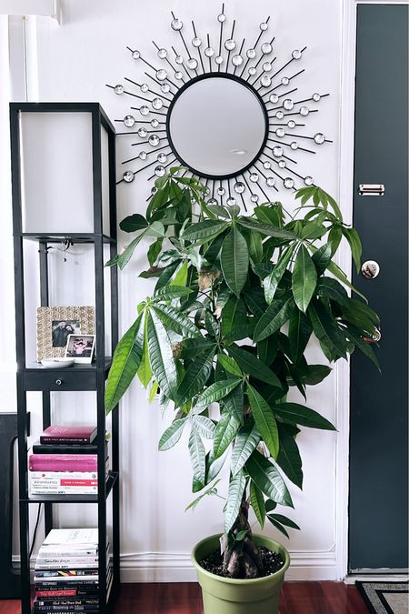 My current favorite space in the house! A little mid-century modern, glam! Loving the mirror to check your face before leaving the house! The side lamp is also very slender for smaller spaces. Also, this money tree brings the space to life! #HomeDecor #MidCenturyModern #MCMDecor #Mirror  

#LTKSeasonal #LTKhome #LTKstyletip