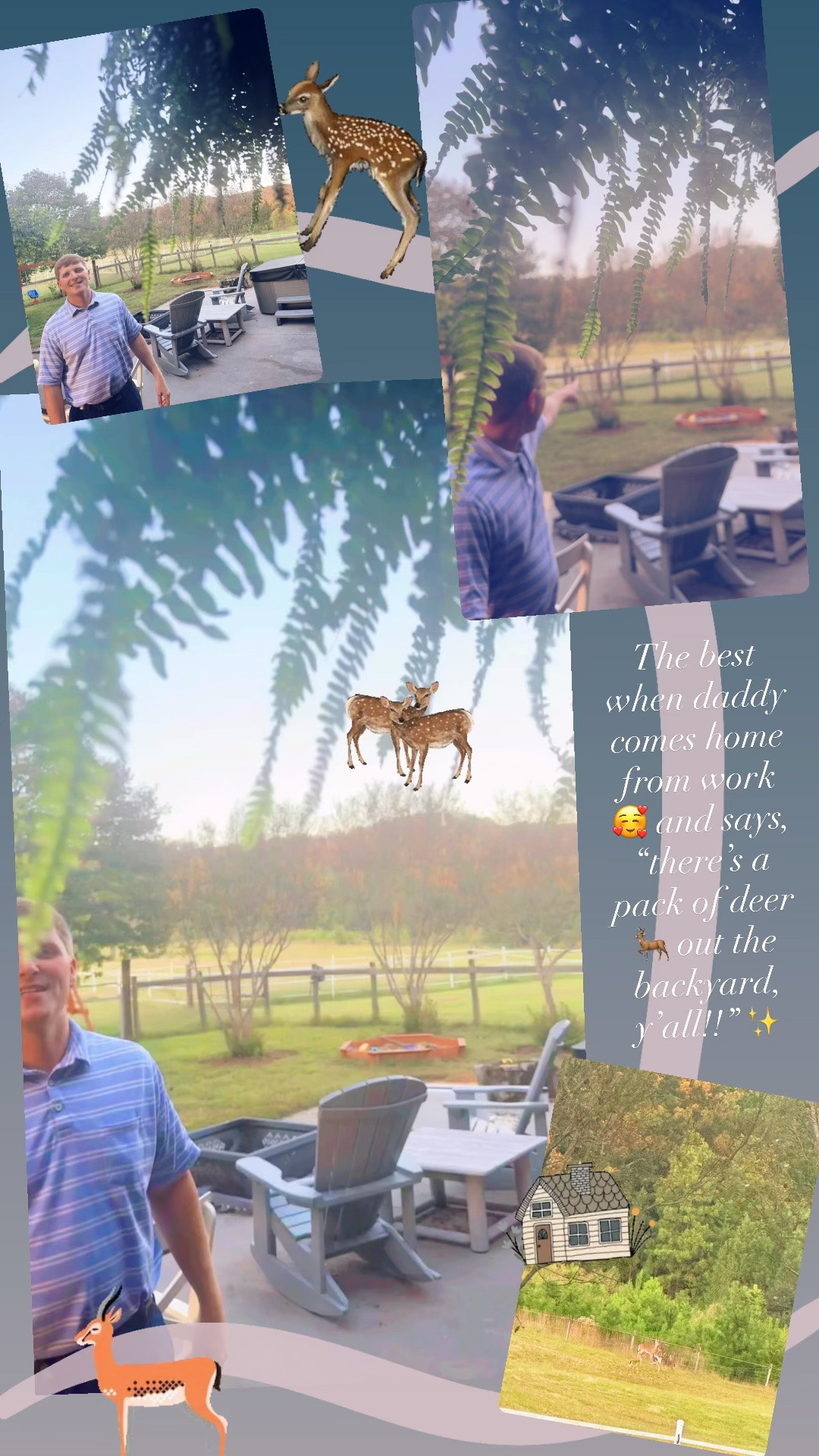 The best when daddy comes home from work 🥰 and says, “there’s a herd of deer 🦌 out the backyard, y’all!!” ✨