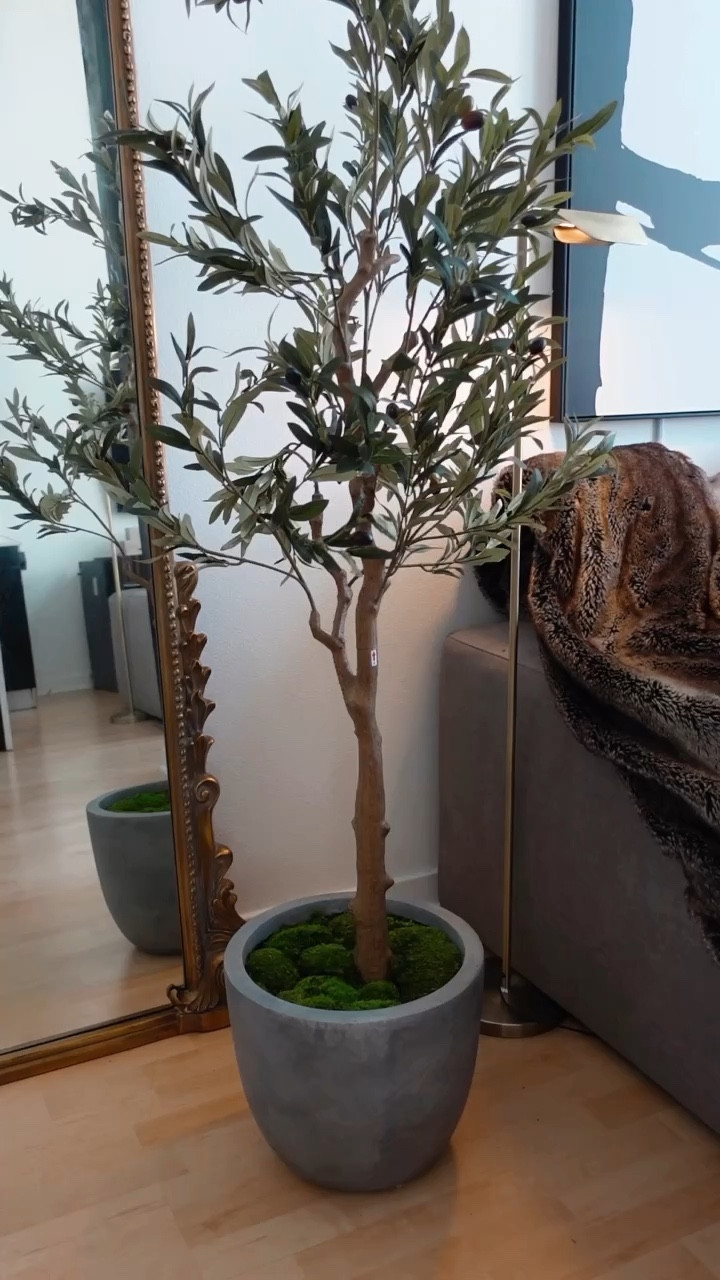 Affordable hack to fill your modern planters for under $15

Stop! Don’t throw away those small random boxes, foam, and plastic wrapping that comes in packages. You can save tons of money but re-using these by stacking them in your planters.

A trick I love is to lay plastic wrapping on top to evenly assemble the greenery or rocks. That way none will slip through the cracks - aka less material and lower cost 

Home decoration, neutral home decor, diy home decor, cozy home decor, modern home, home inspiration, home stying, amazon finds, home ideas, amazon home, interior design, budget home decor, luxury home, Los Angeles, modern home design

#LTKstyletip #LTKFind #LTKhome