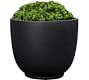 Linde Planter Collection | Pottery Barn (US)