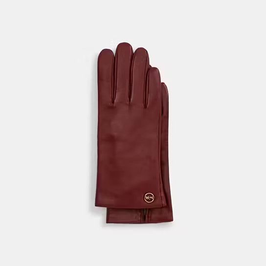 Horse And Carriage Plaque Leather Tech Gloves | Coach Outlet US