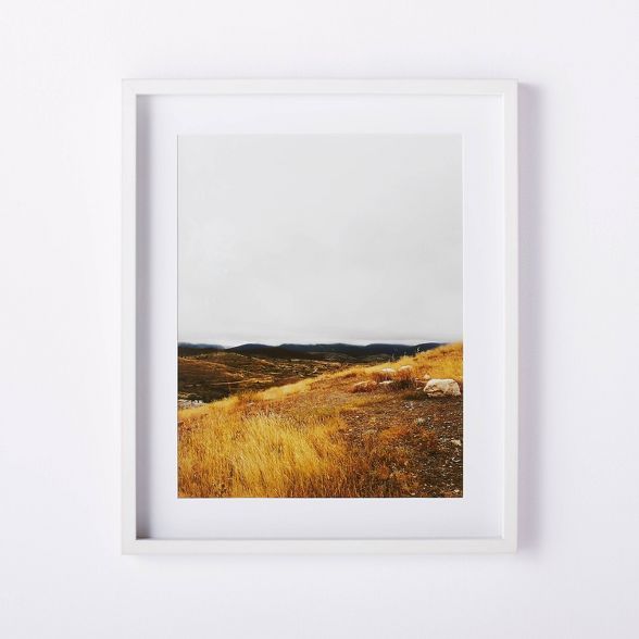20" x 24" Meadow Framed Wall Art - Threshold™ designed with Studio McGee | Target