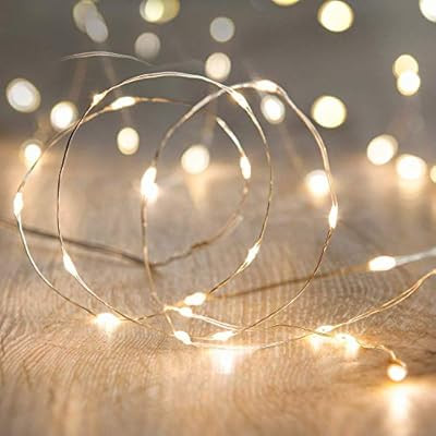 LED Fairy String Lights,ANJAYLIA 10Ft/3M 30leds Firefly String Lights Garden Home Party Wedding F... | Amazon (US)