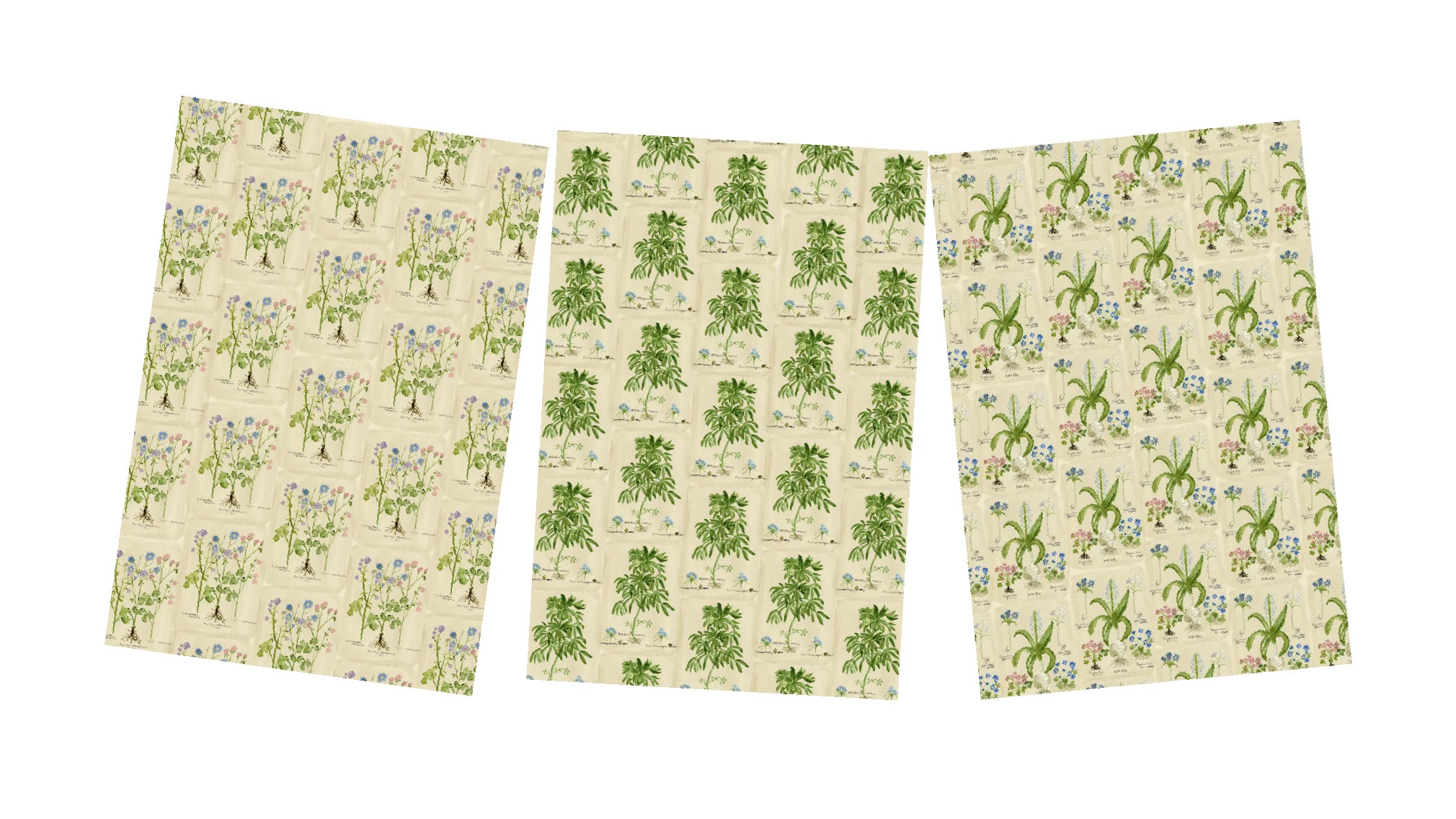 Botanical Gift Wrap Collection | LouLou Baker