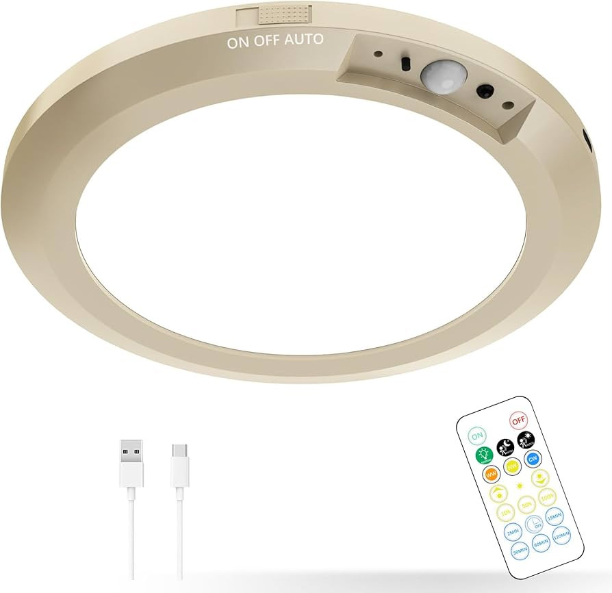Battery Operated LED Celling Lights Fixture with Auto Motion Sensor, Smart Body Sensor Ceiling-mo... | Amazon (US)