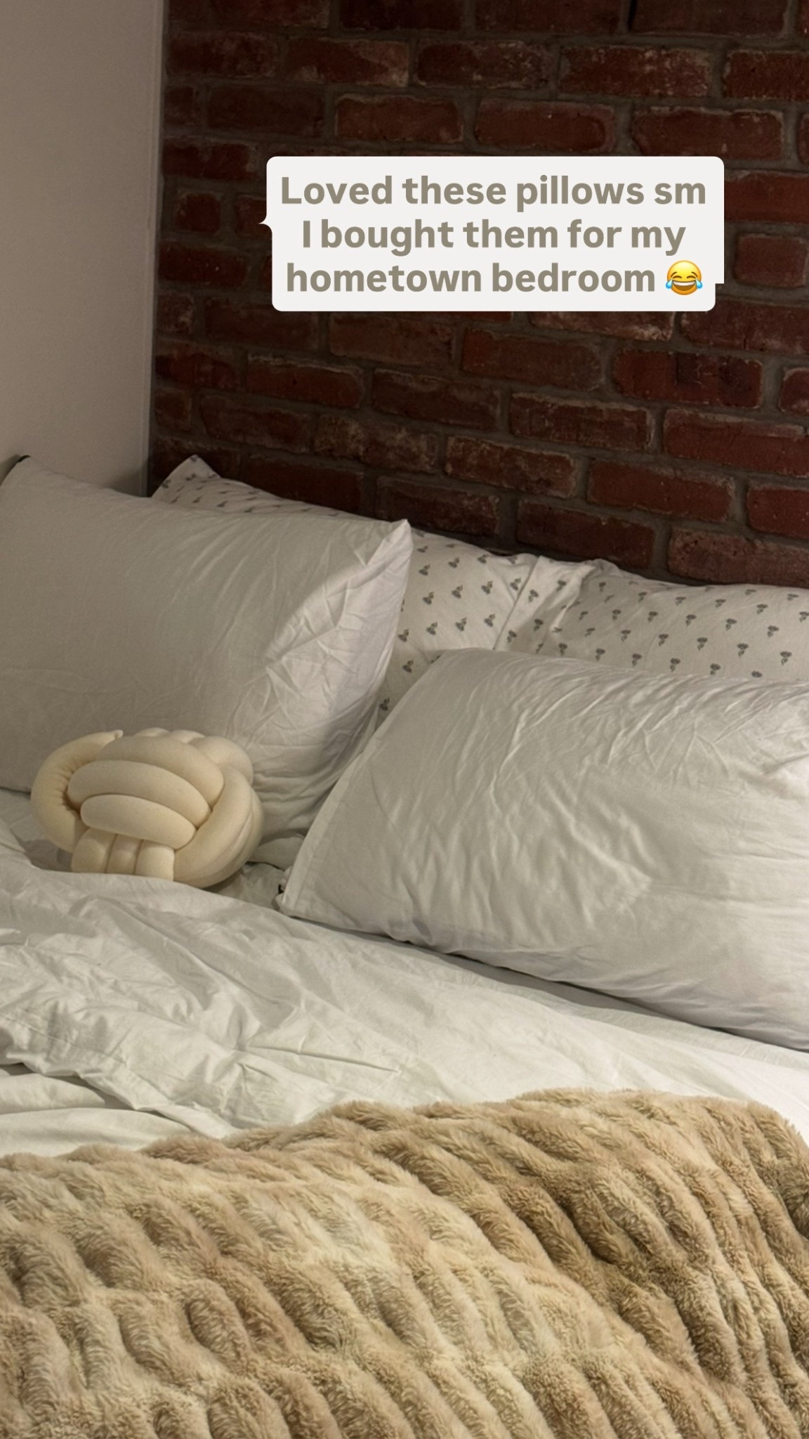 Loved these pillows so much in my apartment I decided to buy them for my hometown bedroom too two for 30 and so good

#LTKGiftGuide #LTKHome