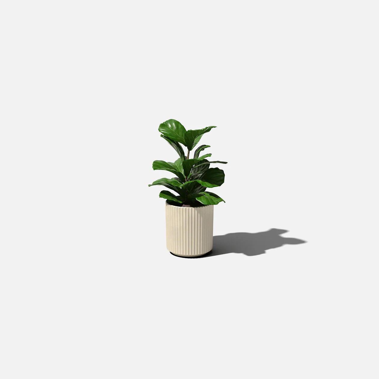 demi planter | Veradek