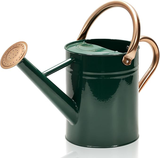 Metal Watering Can with Removable Spout, Galvanized Watering Can, Perfect Plant Watering Can for ... | Amazon (US)