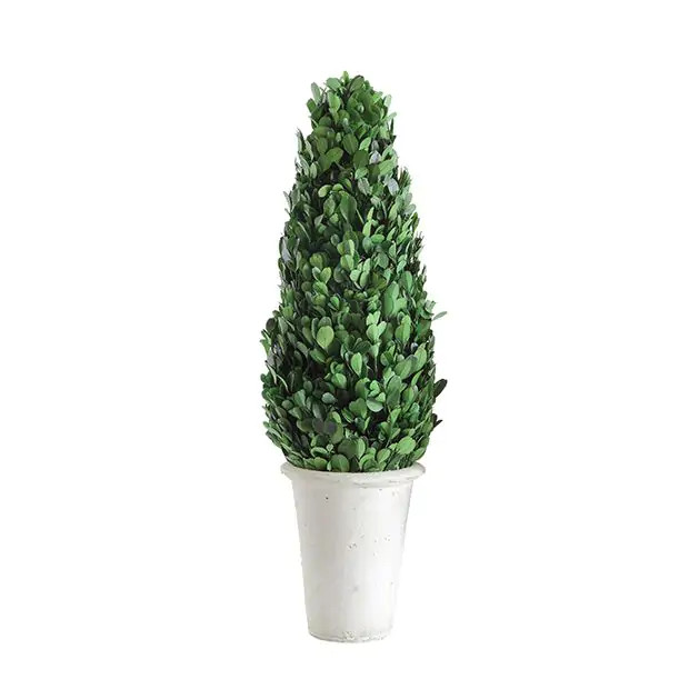 Preserved Boxwood Cone Topiary 17 Inch | Antique Farm House