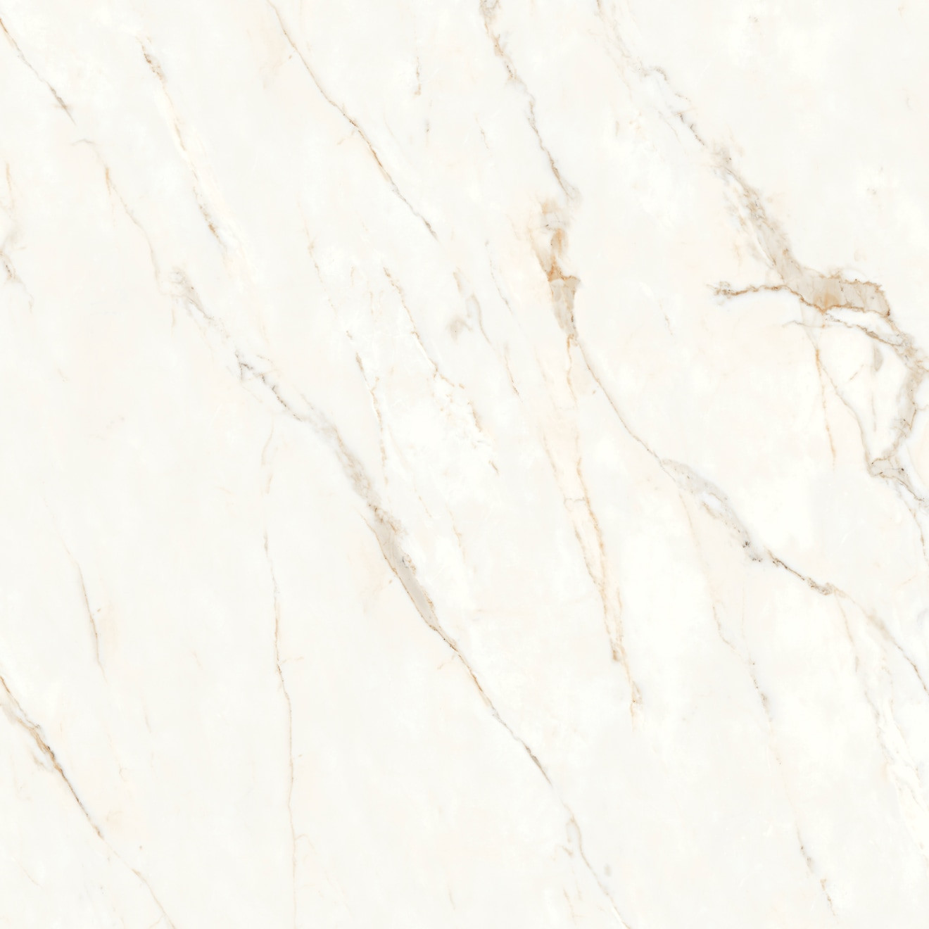 Magnifica Nineteen Forty-Eight 48" x 48" - 8mm Honed Porcelain Tile in Calacatta Oro | Bedrosians Tile and Stone