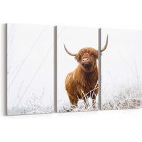 Highland Cow Wall Art Canvas Print Multiple Sizes Wrapped On Wooden Frame | Etsy (US)