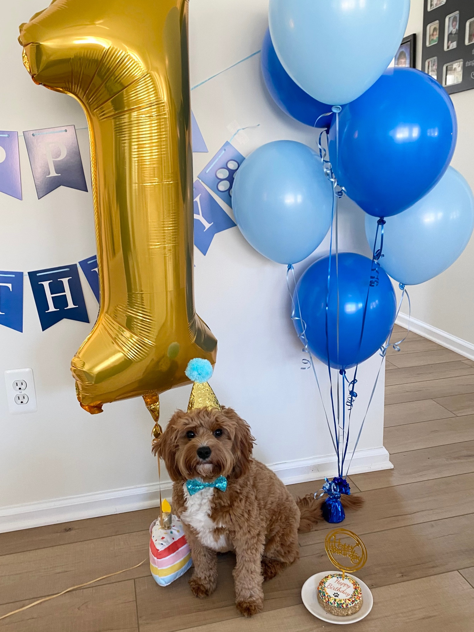 Oliver’s first birthday!! Cutest set from Amazon! 

#LTKfamily #LTKhome #LTKFind