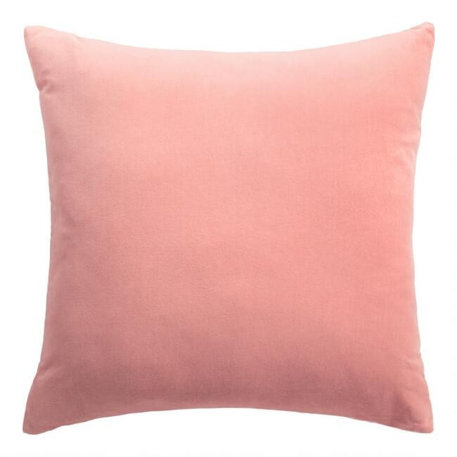 Velvet Throw Pillow | World Market