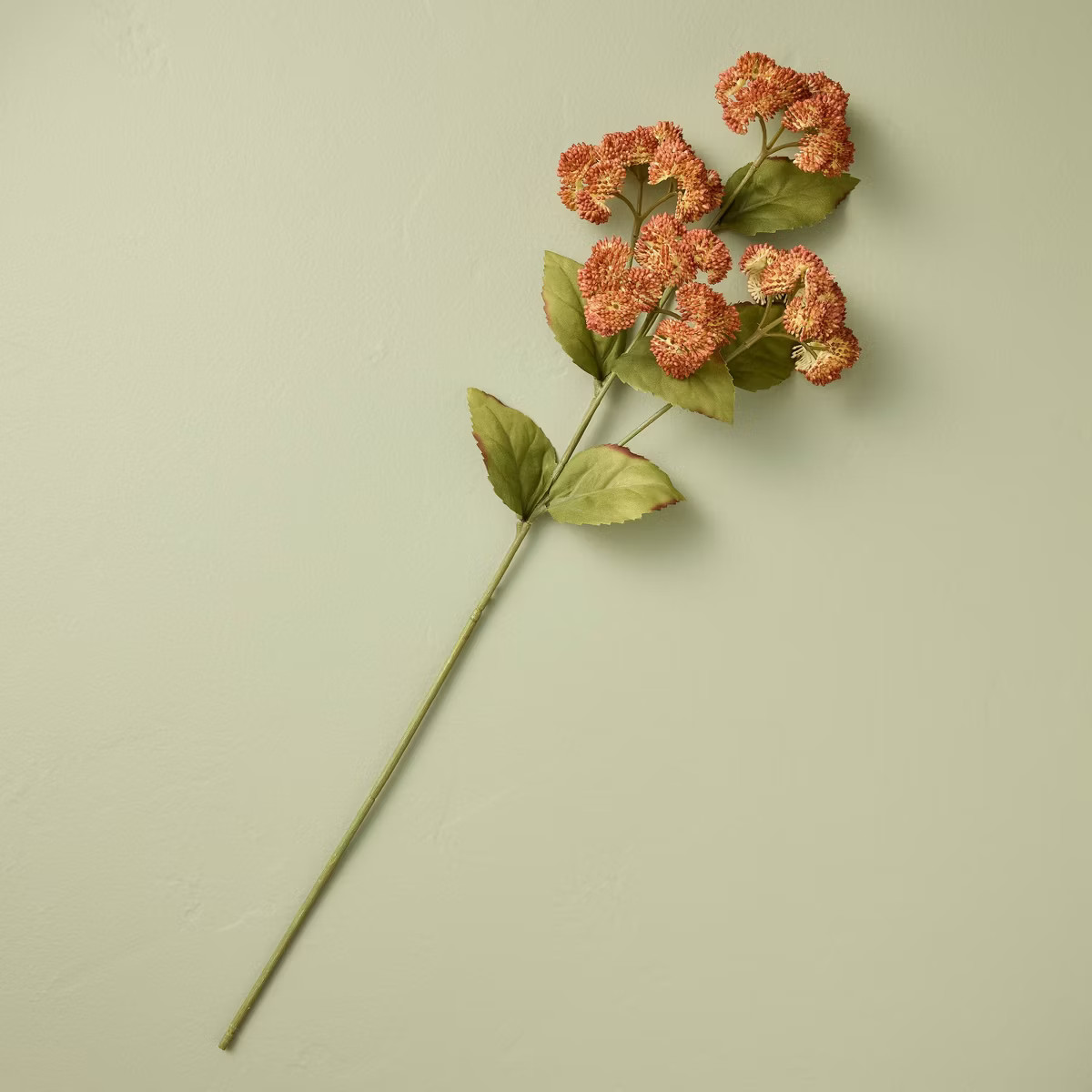 25" Orange Sedum Artificial Stem - Hearth & Hand™ with Magnolia | Target