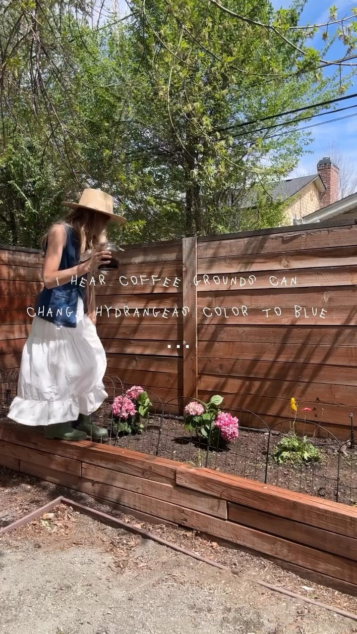 Testing how long it will take for my hydrangeas to turn blue 🌱💙

#hydrangeas #gardening #springtime #gardenwithme