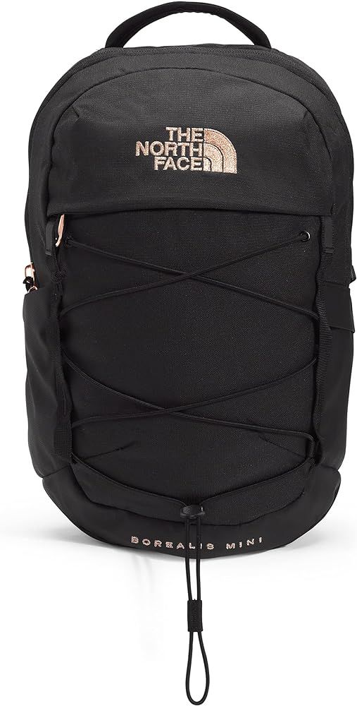 The North Face 10L Mini Borealis Laptop Backpack, TNF Black Heather/Burnt Coral Metallic, One Siz... | Amazon (US)