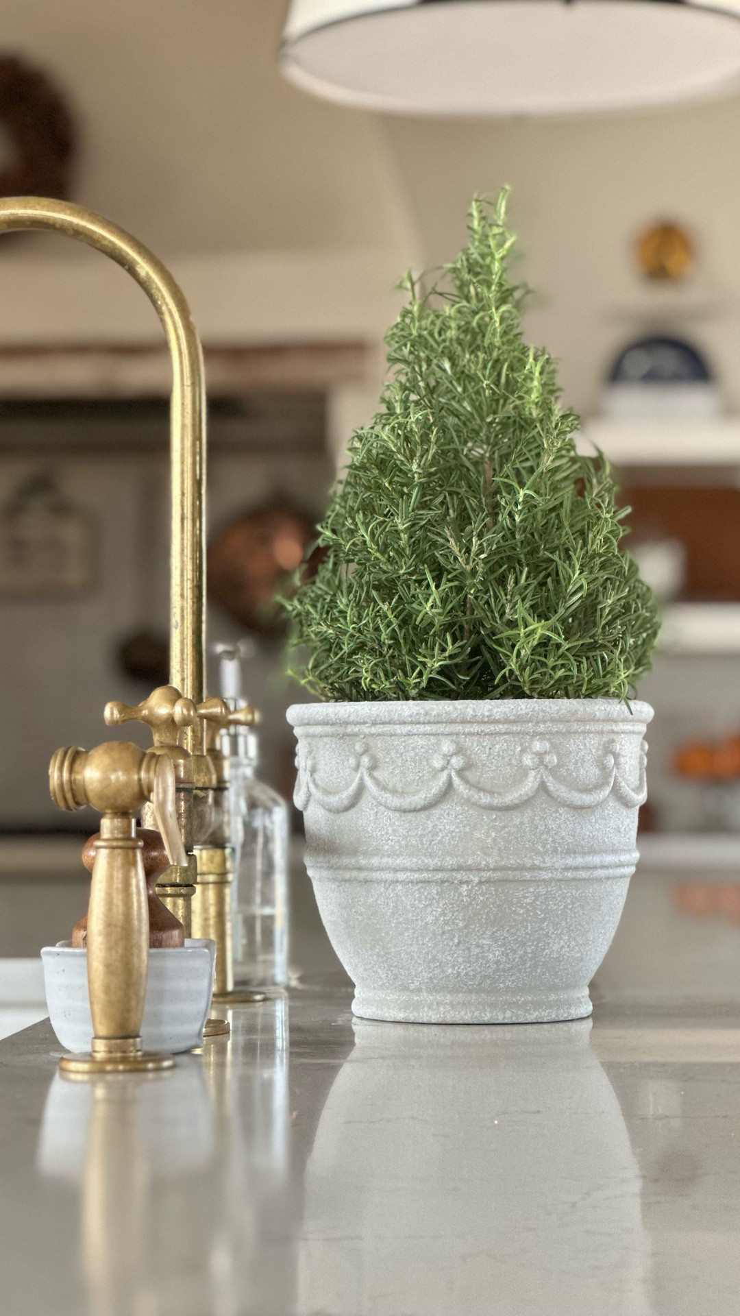 This countertop planter is JUST what I needed to put our rosemary in! It’s gooorgeous, looks just like Pottery Barn, but is so affordable! And in case you love it so much you want it outside on your porch too, it comes in 3 different sizes!! 

You know this one isn’t lasting long!! 🏃 



#affordablehomedecor #walmartfinds #betterhomesandgarden #walmarthomedecor

#LTKHome #LTKFindsUnder50