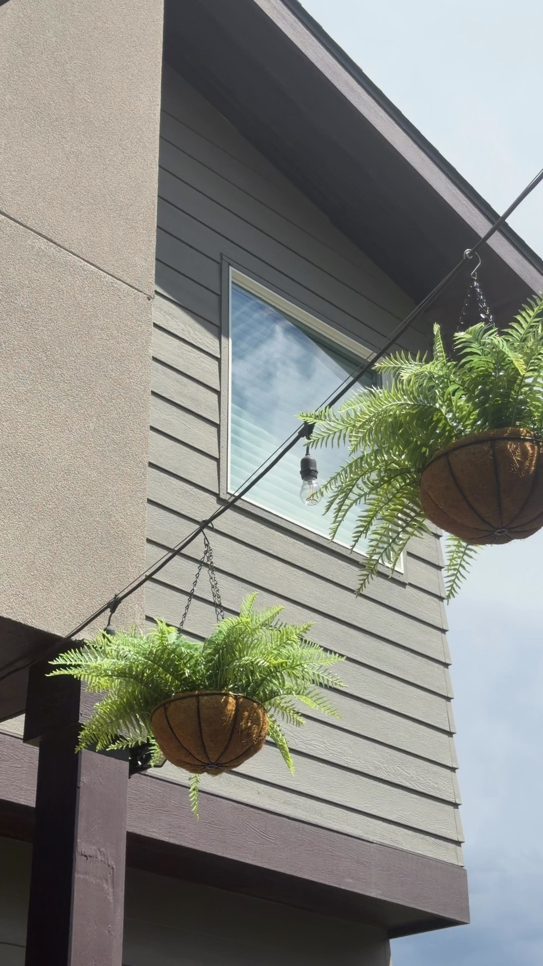 Faux ferns

#LTKOver40 #LTKHome