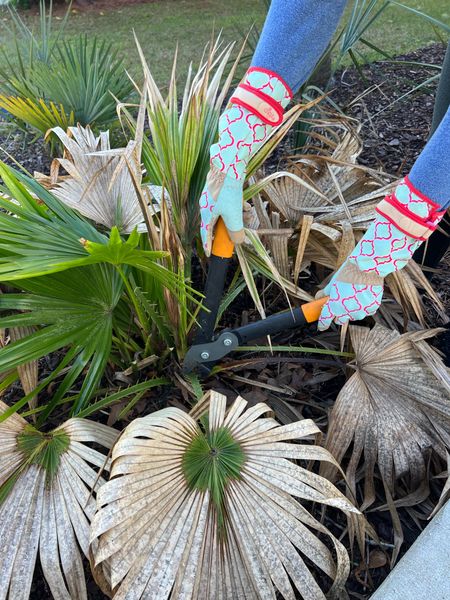 Pruning plants with my favorite Digz gloves. They come up extra high for working on thorny plants!
 Gardening, yard, outdoor, home 

#LTKhome #LTKunder50 #LTKSeasonal