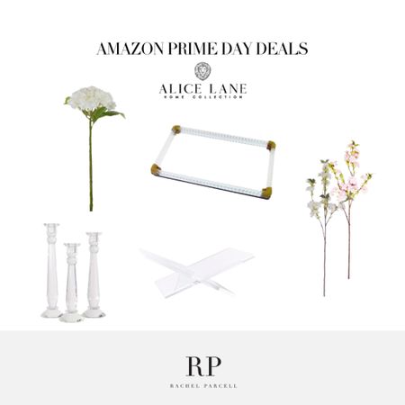 Shop my Alice Lane picks from the Amazon Prime Day sale!

#LTKsalealert #LTKSeasonal #LTKhome