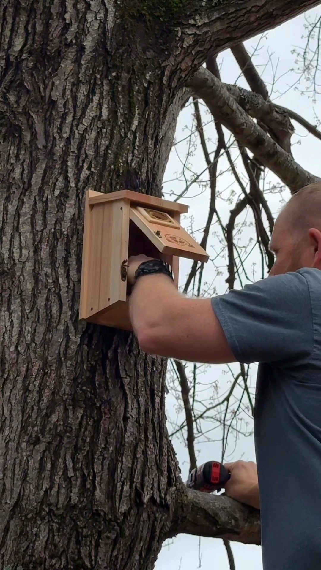 The squirrels did a number on our old birdhouse, and it was no longer safe for birds or their babies. We upgraded to birdhouses with metal guards around the openings to prevent predators from scratching or chewing the holes larger. 🐦🌿

#LTKSeasonal #LTKHome