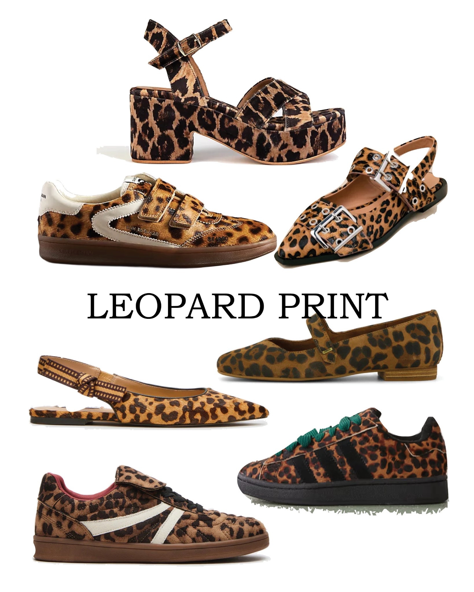 Leopard print is always a good idea 

#LTKover50style #LTKcurves #LTKsale
