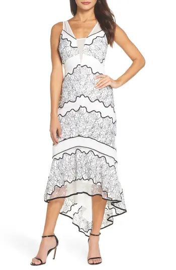 Women's Harlyn Embroidered Lace Dress, Size X-Small - Ivory | Nordstrom
